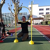 Esmaeil Layal
